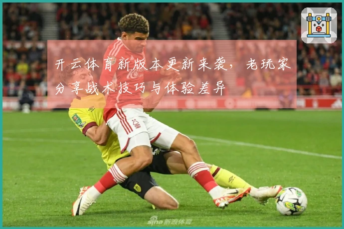开云体育新版本更新来袭，老玩家分享战术技巧与体验差异