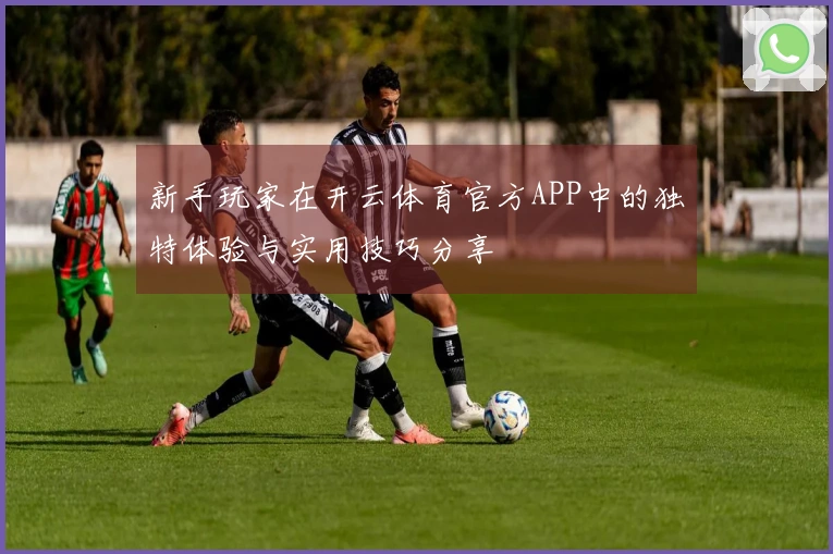 新手玩家在开云体育官方APP中的独特体验与实用技巧分享